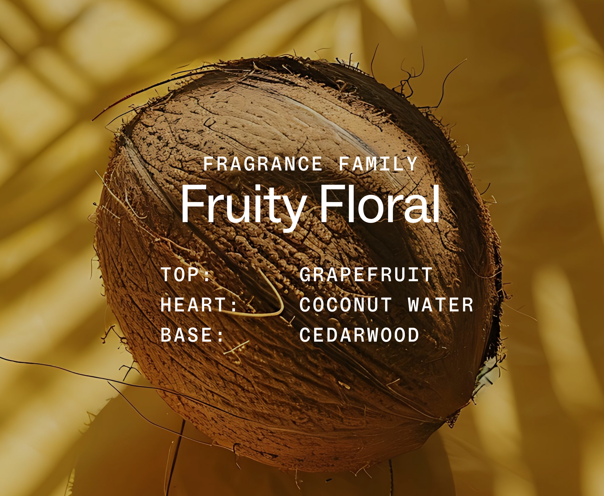 Coconut with fragrance family details on a yellow background